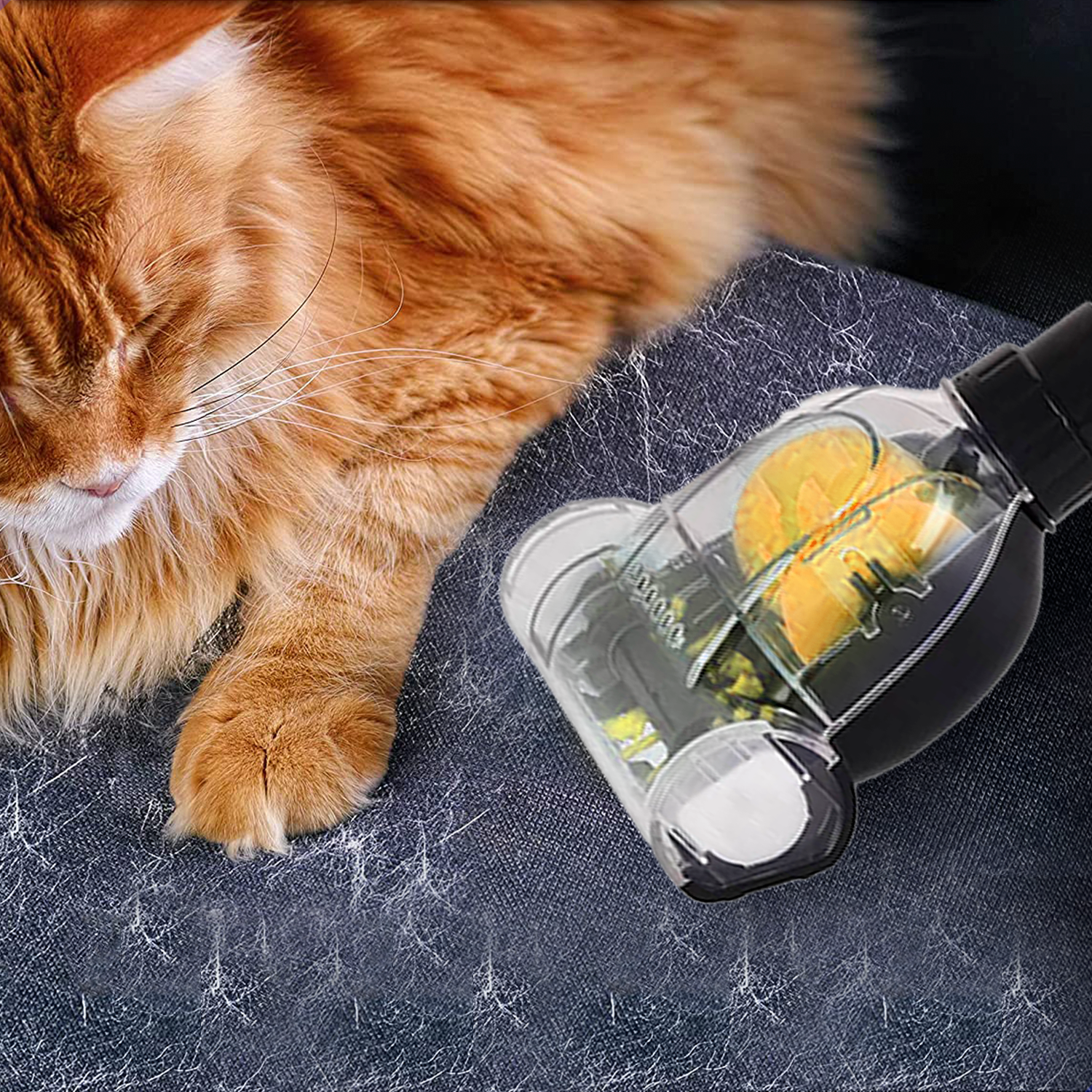 AG Stofzuiger- Bestseller - Dierenharen expert