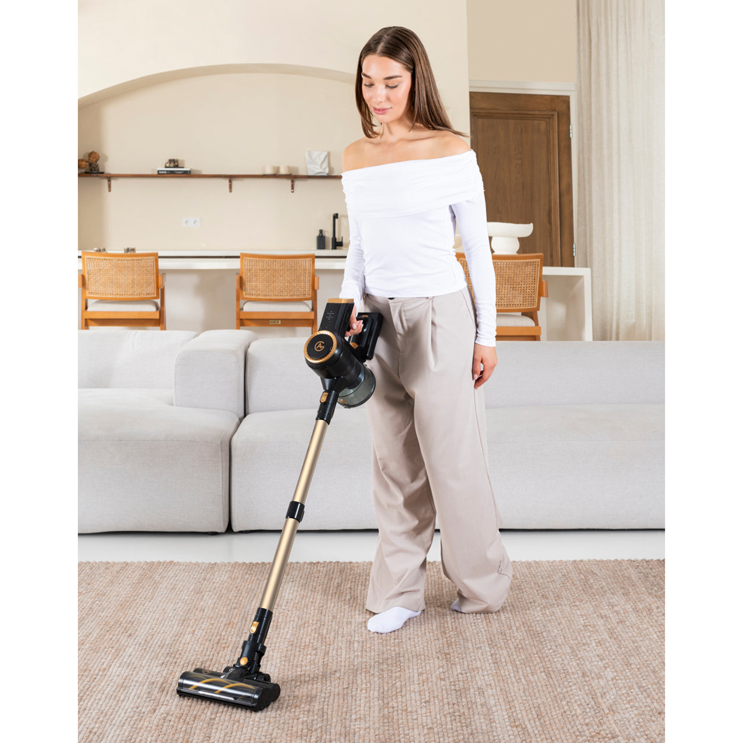 AG Steelstofzuiger. Gold on Gold.