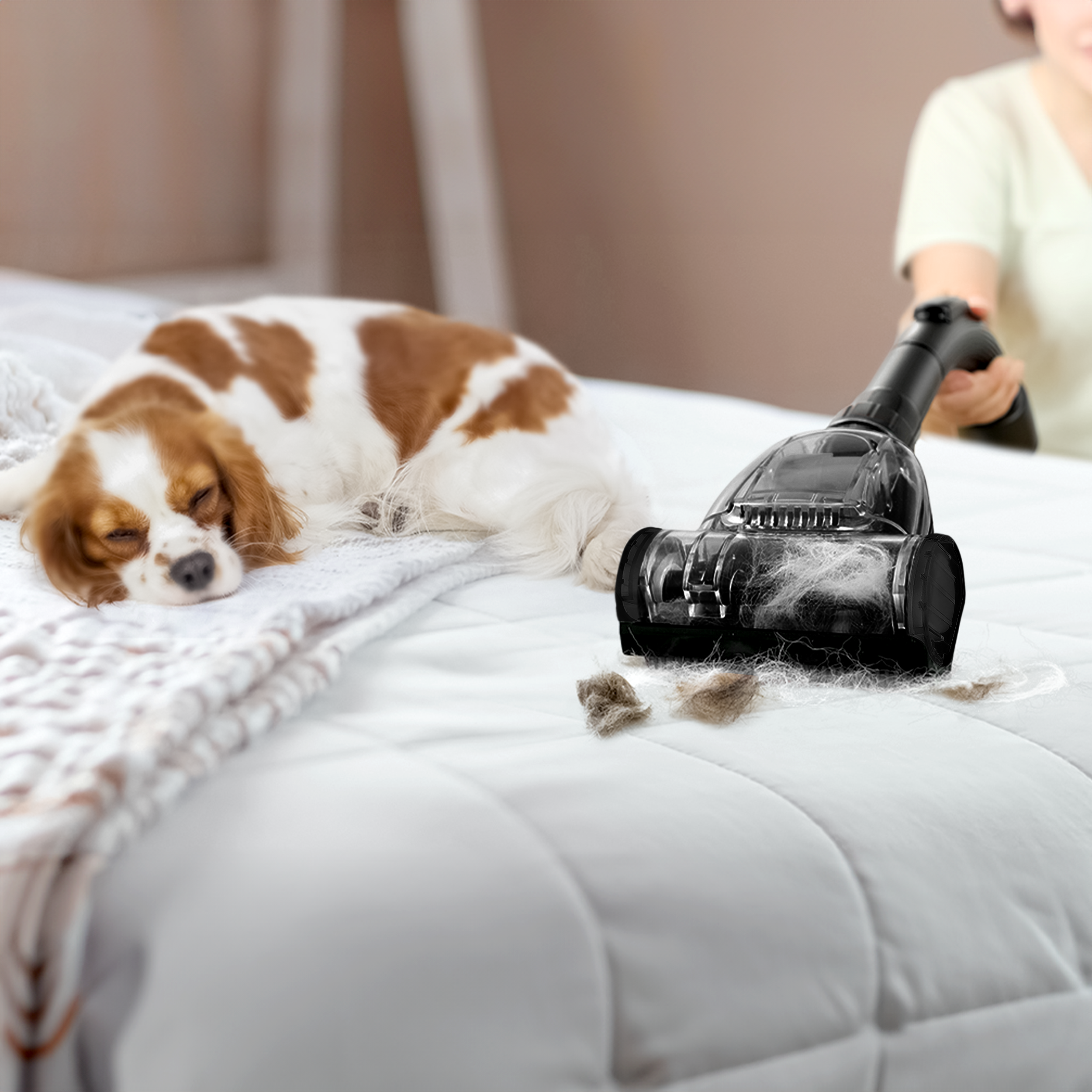 AG Stofzuiger zonder Zak - Extra Lang Snoer, Tot 9 Meter Actieradius - Zwart